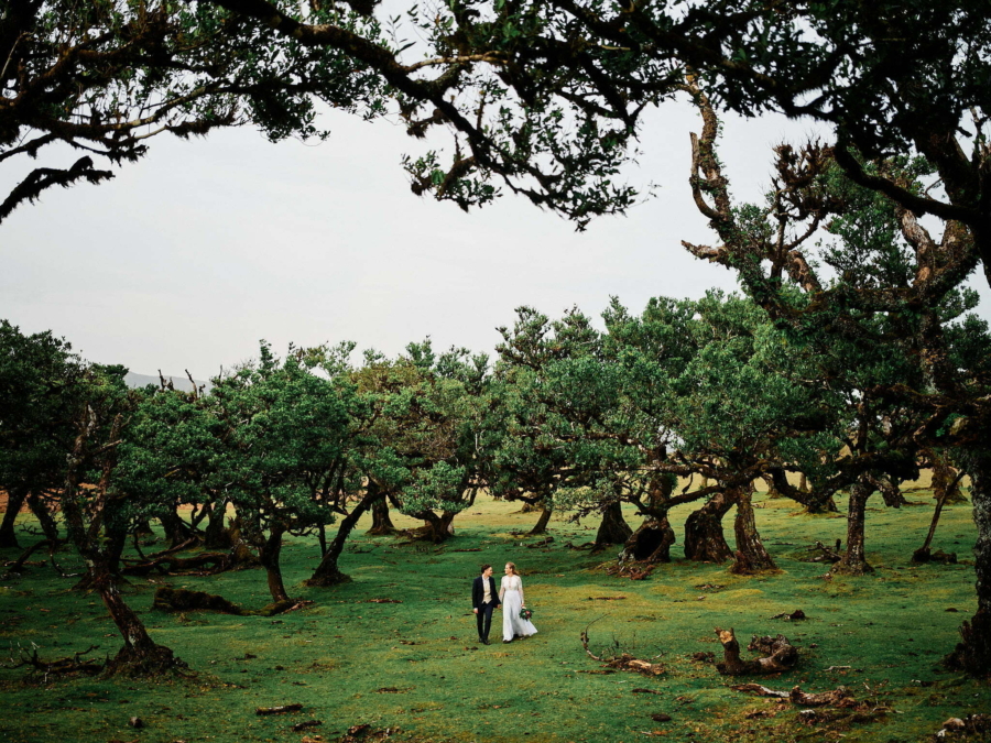 Couple in Madeira forest during workshop