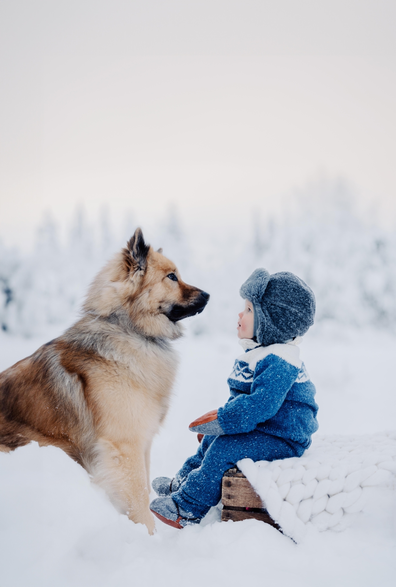 Best Family Photo winner at the 2023 Way Up North Awards, photographed by Rebecca Lundh, Sweden