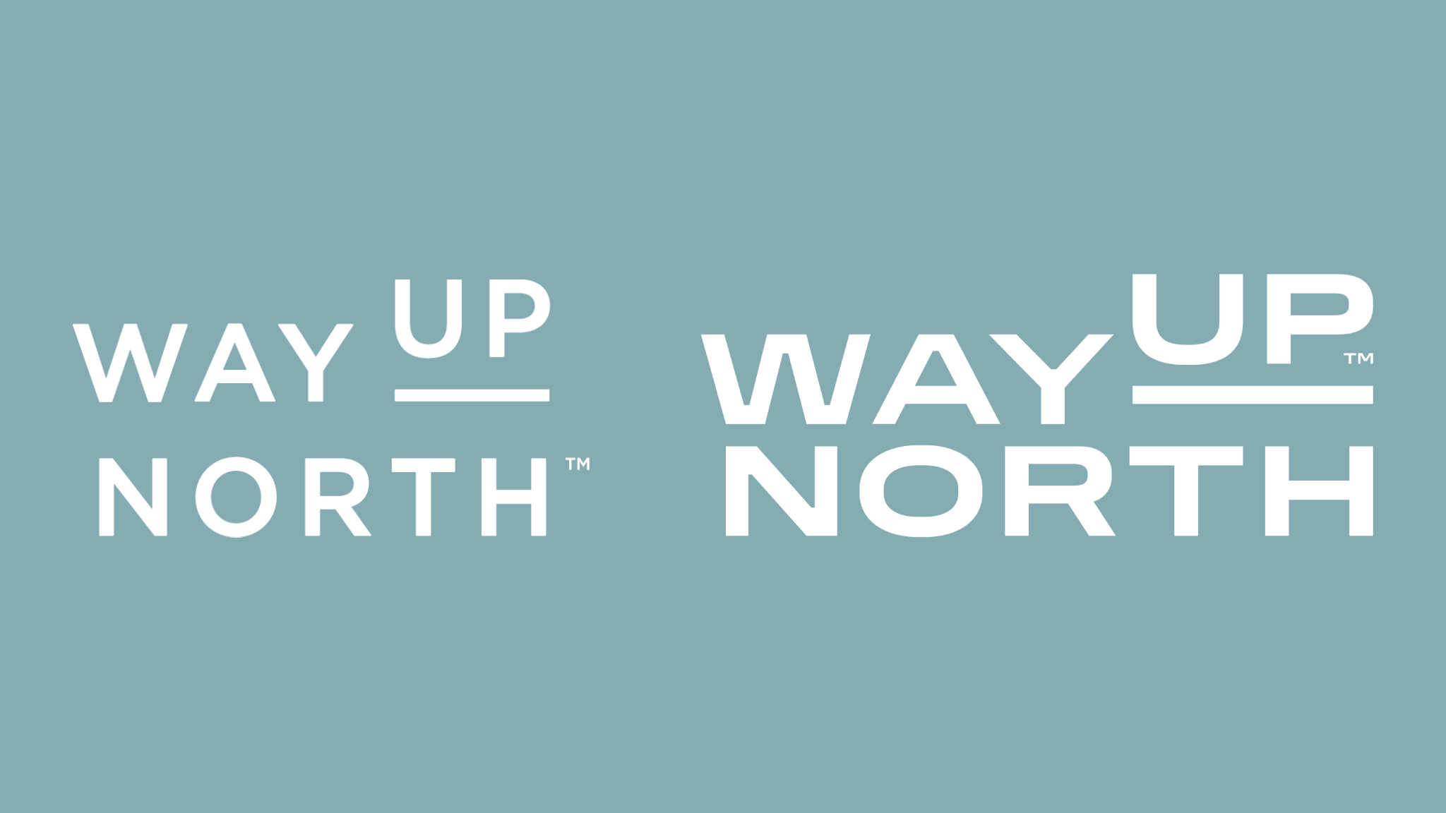 Way Up North logo
