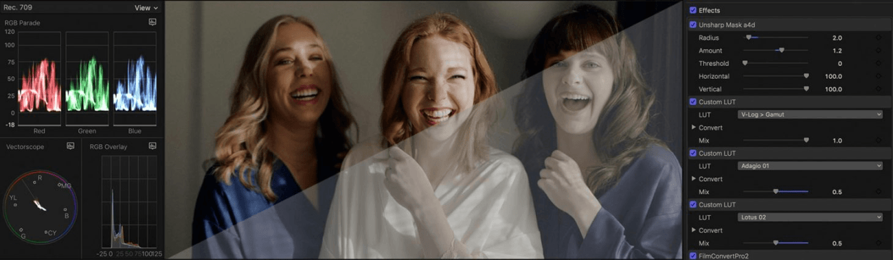 Gamut Filmmaker Luts