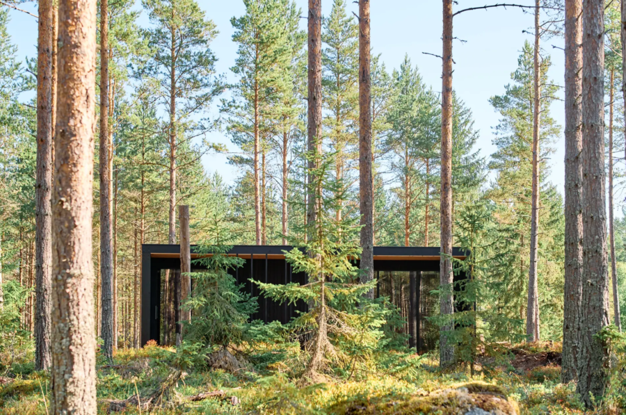 Forest cabin retreat in Hälsingland