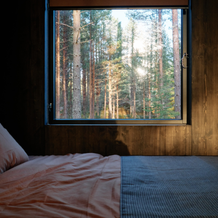 Cabin rental with forest views