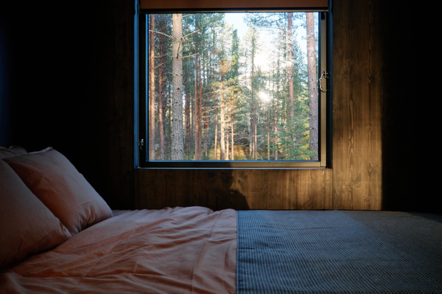 Cabin rental with forest views