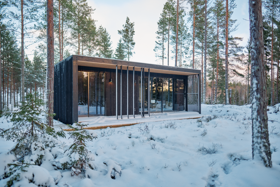 Forest trails near cabin in Sweden